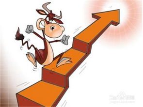 中科三環(huán) 聚焦計(jì)算機(jī)軟硬件技術(shù)開發(fā)的高科技企業(yè)